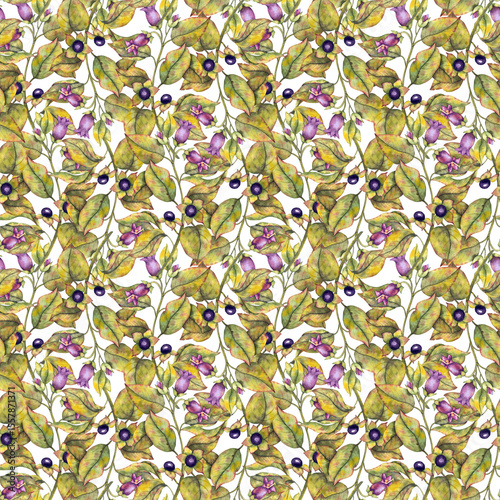 Bilde på lerret Watercolor illustration Atropa belladonna with flowers and dark berries seamless pattern