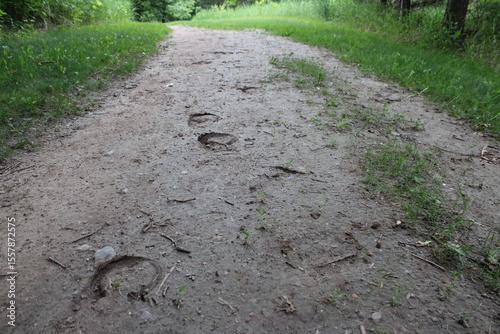 horse shoe prints in the mud