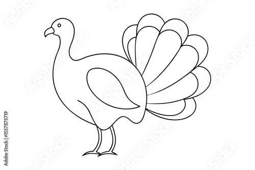 Thanksgiving Turkey Line Drawing for Fall Harvest Graphics