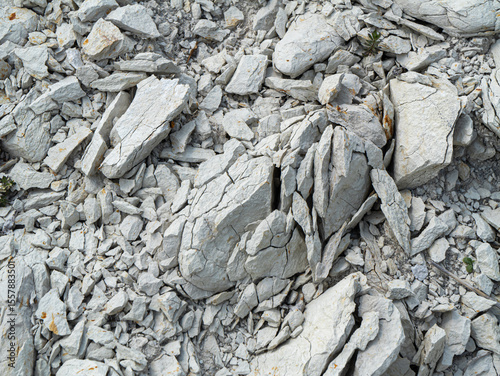 Close-up of fractured chalky marl rock surface. Textured limestone with visible cracks, ideal for geology, natural backgrounds, and educational or scientific use