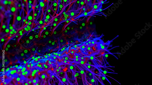 Microscopic image of hair follicle bulge stem cells (YFP-green) activated to regenerate follicles, with dermal papilla (tdTomato-red)