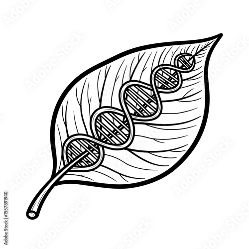 Stylized leaf with an intertwined DNA strand symbolizing nature and genetics