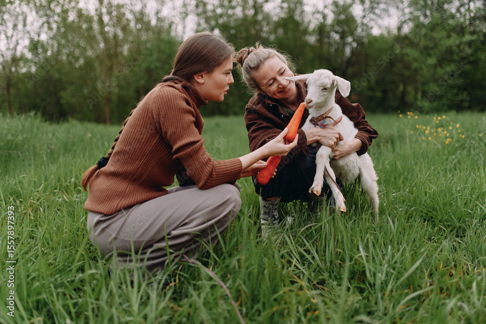 Fototapeta premium middle aged woman feeding goat with carrot outdoors, active healthy lifestyle, wellbeing, community wellness in lush green field