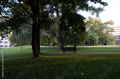 Fototapeta Naklejka Na Ścianę i Meble -  Park