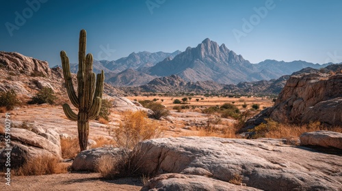 Dramatic Southwestern Landscape Featuring Saguaro Cactus and Majestic Mountain Range