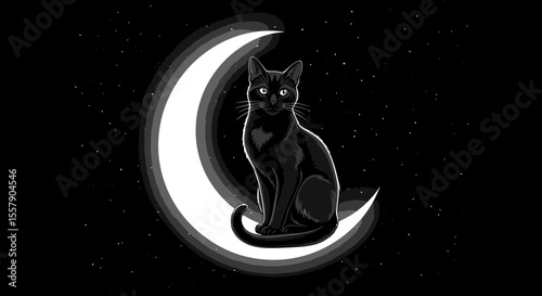 Black cat sitting on moon crescent in night sky illustration vector graphic design art image drawing, one hundred father's day