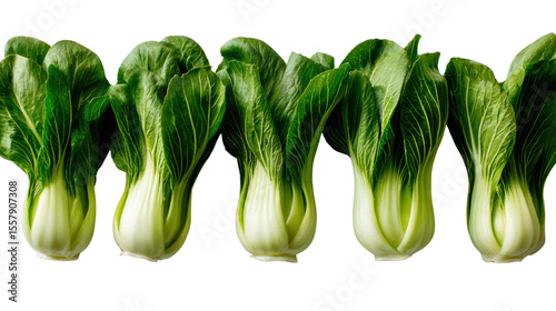 Five fresh bok choy on a white isolated background.