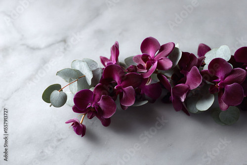 Lush deep purple orchid blossoms with silver dollar eucalyptus leaves on a light marble surface. Ideal for wellness, beauty, or serene lifestyle concepts.
