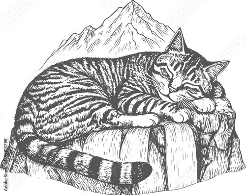Serene Mountain Cat: Hand-Drawn Feline Resting on Rocky Ledge