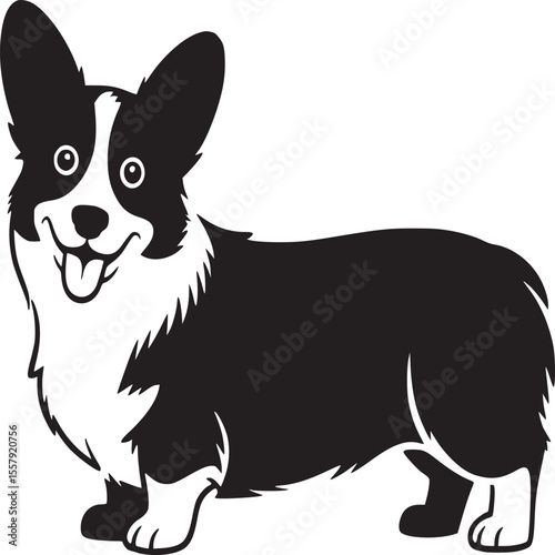 Illustration of a black and white corgi dog standing with tongue out on a white background