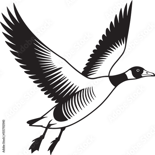 Illustration of a canada goose in flight with wings spread in black and white vector format