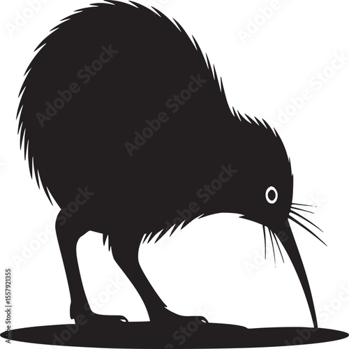 Silhouette of a kiwi bird with long beak standing on a flat surface against a white background