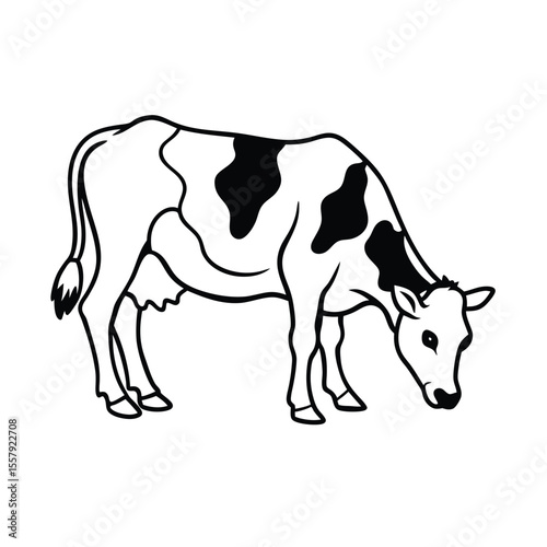 Cow grazing peacefully in open field with tail swishing Vector illustration