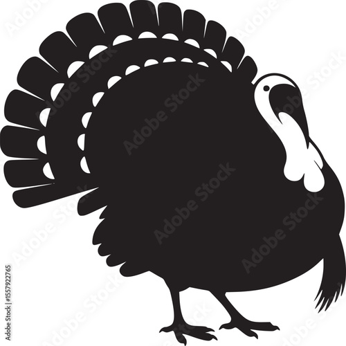 Silhouette of a turkey with a large tail and a white head on a white background illustration