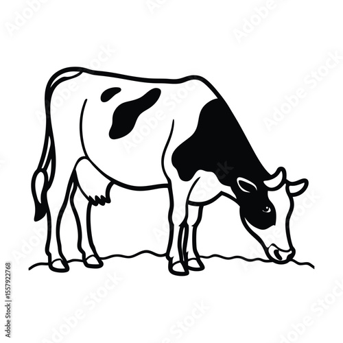 Cow grazing calmly in wide field with relaxed tail motion Vector illustration