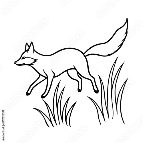 Fox jumping in grass while hunting unseen prey Vector illustration