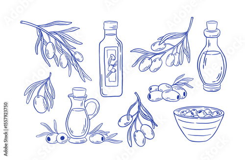 Hand drawn natural olives and oil bottle icon vector set. Mediterranean food illustration in doodle sketch style. Perfect for restaurant menus, packaging design, and farm products.