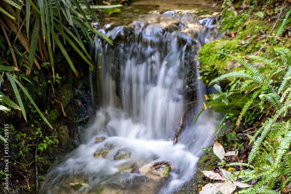 Fototapeta premium waterfall in the forest