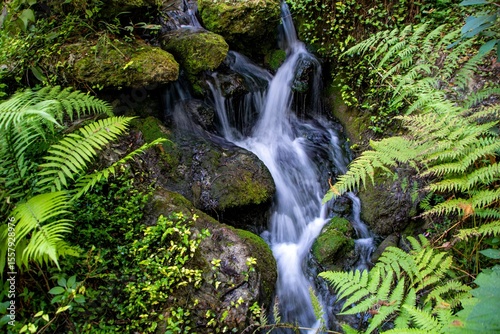 waterfall in the forest