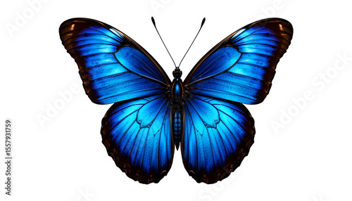 Gorgeous blue butterfly on transparent background displays delicate wings in a striking nature portrait with intricate detail and vibrant color.