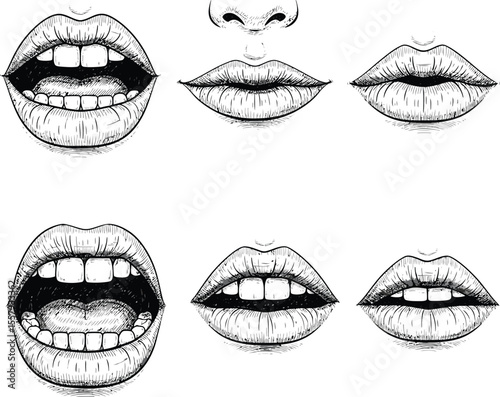 Realistic Lip Sketches: Black and White Detailed Art