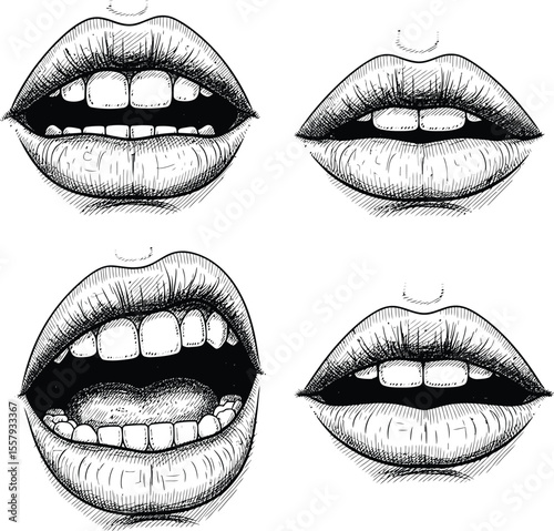 Realistic Lip Sketches: Black and White Detailed Art