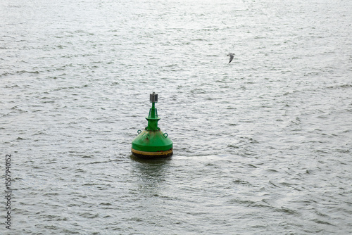 Bright green navigational buoy floating on calm water with a distant seagull in the background