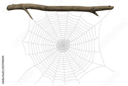 Intricate spider web hanging from a weathered branch, isolated on a transparent background, perfect for halloween or nature-themed projects