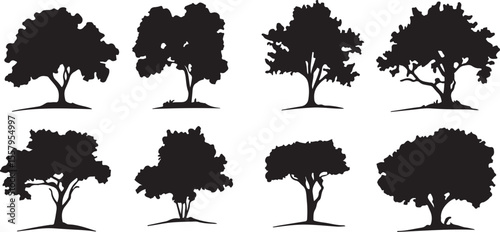 Black Tree Silhouette Set – Deciduous and Evergreen Designs