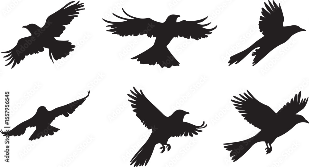 Fototapeta premium Flying Bird Silhouettes Collection - Vector Black Bird Illustrations