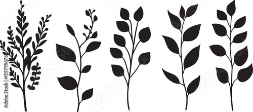 Natural Leaf Branch Vector Set