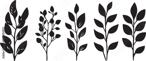 Elegant Plant and Leaf Silhouettes