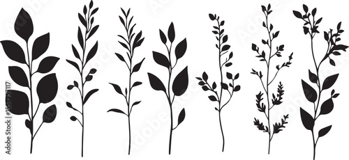Elegant Plant and Leaf Silhouettes