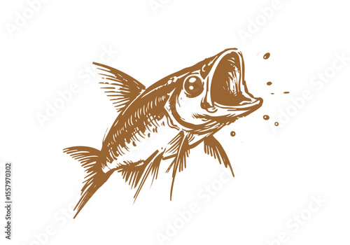 Minnow Fish Hand Drawn Natural Illustration Vector Isolated by AZ for Books, Arts, Design and Decoration Graphic Asset