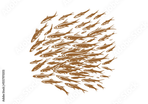 Minnow Fish Hand Drawn Natural Illustration Vector Isolated by AZ for Books, Arts, Design and Decoration Graphic Asset