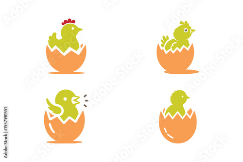 Set of baby chicken hatching from egg vector on white background