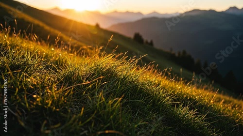 Sunlit Mountain Hillside. Grassy texture, vibrant green, golden light. Nature, tranquility, wind. For travel, landscape, outdoor activities, serenity