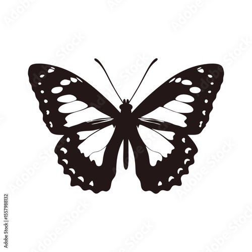 Monochrome Butterfly Illustration Gracefully Displaying its Intricate Wing Pattern Black and White Design a Symbol of Transformation and Beauty