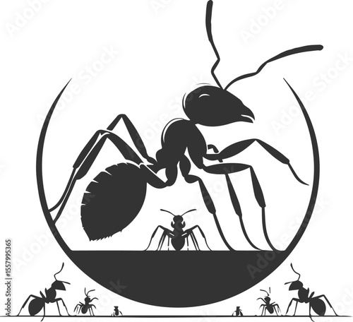 Black vector of ant insect silhouette