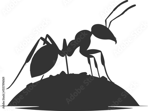 Black vector of ant insect silhouette