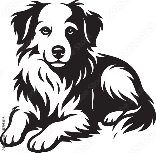Border collie stylish vector black and white, Herding dog black and white artwork