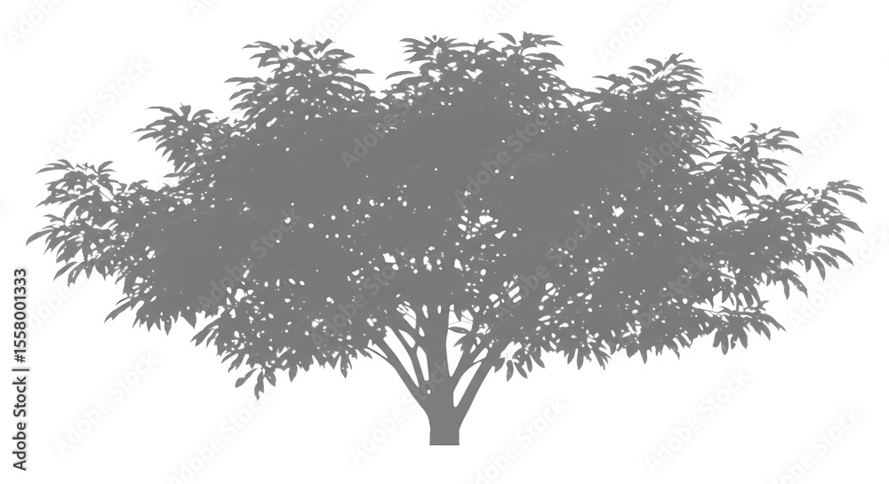 Obraz premium Silhouette tree isolated on white background