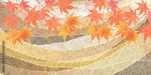 紅葉　もみじ　秋　背景	