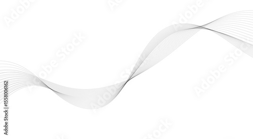 Grey wavy curve line technology concept background. Frequency soundwave backdrop. Business curve lines on transparent background. Modern background design.