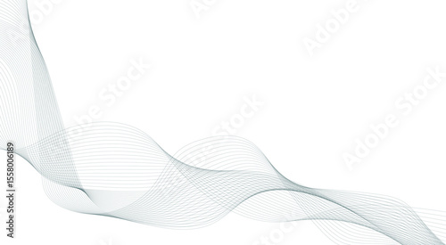 Grey wavy curve line technology concept background. Frequency soundwave backdrop. Business curve lines on transparent background. Modern background design.