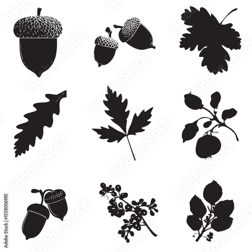 acorn clipart silhouette set, Black & White silhouette set