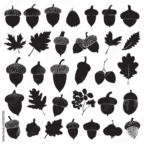 acorn clipart silhouette set, Black & White silhouette set