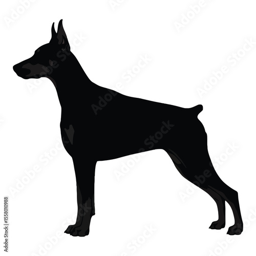 Black silhouette of Doberman Pinscher dog