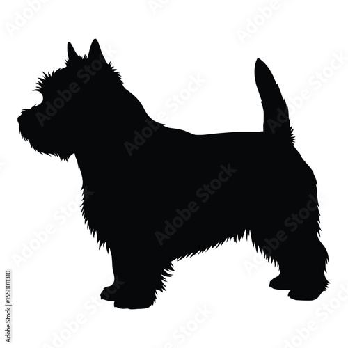 A silhouette of a dog in profile. The dog has a distinctive terrier build