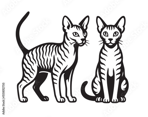 Vector of two sleek Cornish Rex cats, one standing, one sitting, showing their unique curly coats.